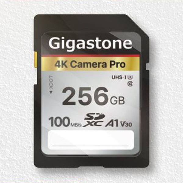 Gigastone｜ギガストーン SDXCメモリーカード 256GB Class10 UHS-I U3 V30（ジッパーバック包装）  GJSXR4K-256GV3A1返品種別B