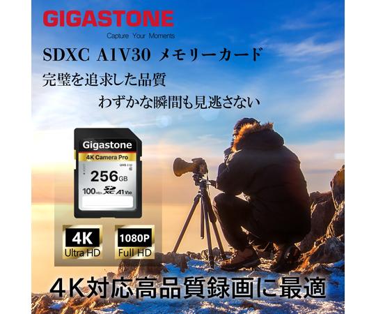 Gigastone｜ギガストーン SDXCメモリーカード 256GB Class10 UHS-I U3 V30（ジッパーバック包装）  GJSXR4K-256GV3A1返品種別B_1