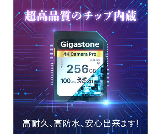 Gigastone｜ギガストーン SDXCメモリーカード 256GB Class10 UHS-I U3 V30（ジッパーバック包装）  GJSXR4K-256GV3A1返品種別B_2