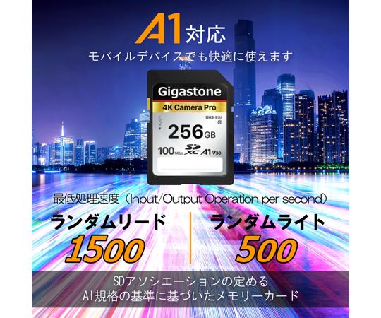 Gigastone｜ギガストーン SDXCメモリーカード 256GB Class10 UHS-I U3 V30（ジッパーバック包装）  GJSXR4K-256GV3A1返品種別B_3