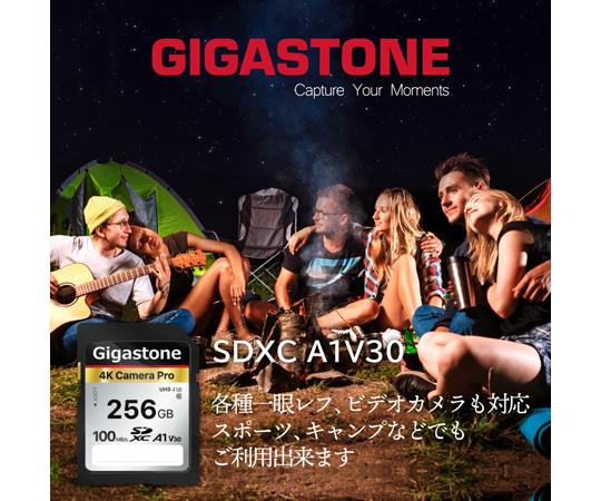 Gigastone｜ギガストーン SDXCメモリーカード 256GB Class10 UHS-I U3 V30（ジッパーバック包装）  GJSXR4K-256GV3A1返品種別B_4