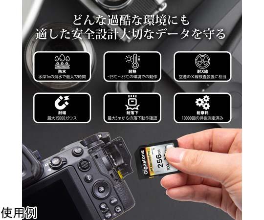 Gigastone｜ギガストーン SDXCメモリーカード 256GB Class10 UHS-I U3 V30（ジッパーバック包装）  GJSXR4K-256GV3A1返品種別B_5