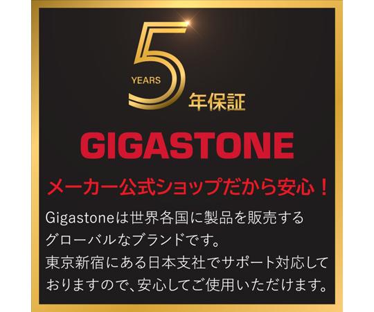 Gigastone｜ギガストーン SDXCメモリーカード 256GB Class10 UHS-I U3 V30（ジッパーバック包装）  GJSXR4K-256GV3A1返品種別B_7