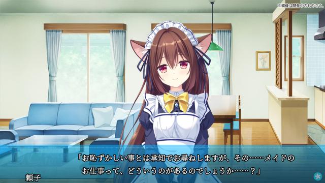 【Switch】D.C. Re:tune 〜ダ・カーポ〜 リチューン　通常版 返品種別B_7