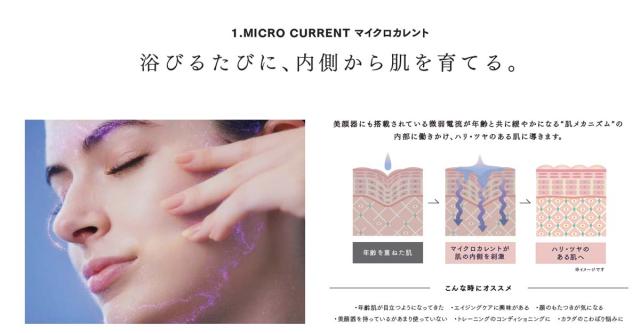 マイトレックス MT-HFE23SL 美肌シャワーヘッドMYTREX HIHO FINE