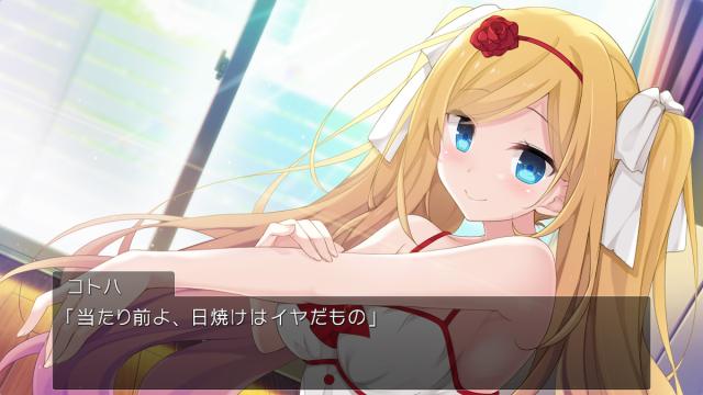 Switch】セヴンデイズ あなたとすごす七日間 通常版 返品種別Bの