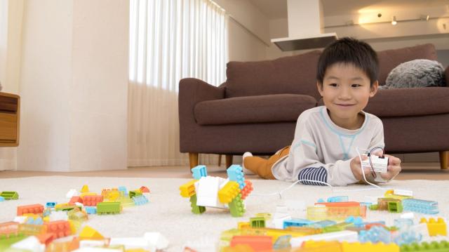 ユカイ工学 ウゴクブロック L 返品種別B_6