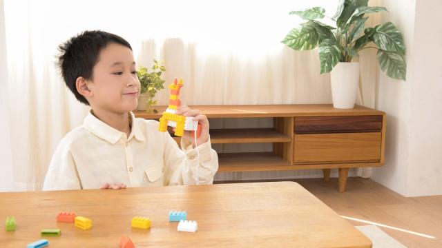 ユカイ工学 ウゴクブロック L 返品種別B_7