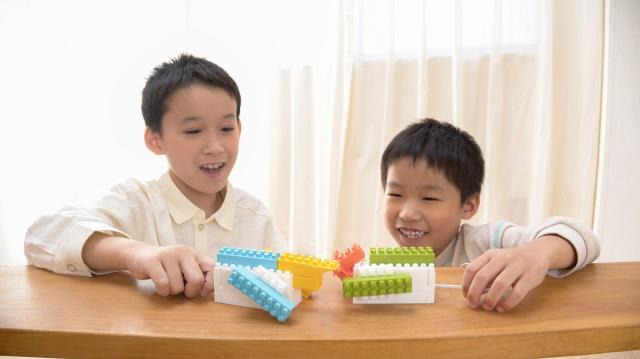 ユカイ工学 ウゴクブロック L 返品種別B_9