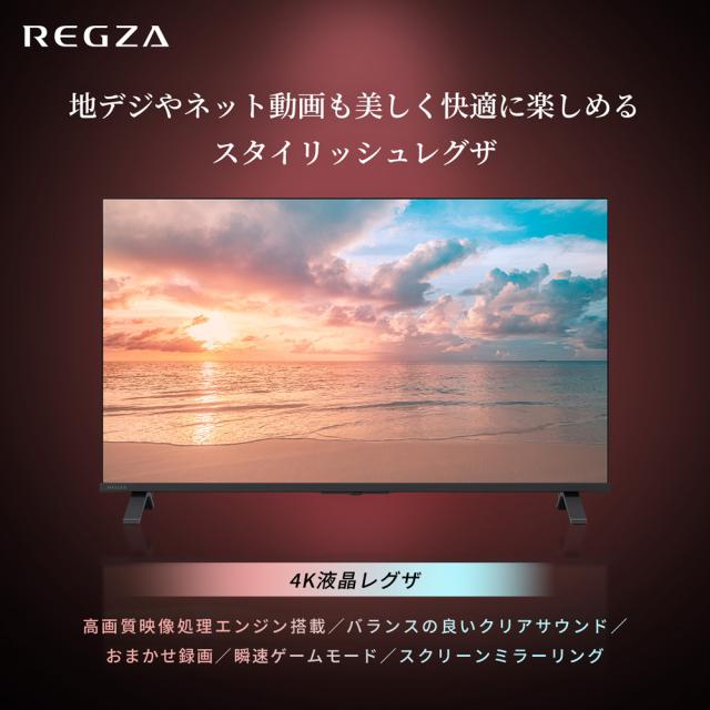 REGZA（レグザ） 55E350R 55V型 液晶テレビ［BS・CS 4Kチューナー内蔵］REGZA　E3 series E350R[55E350R] 返品種別A_1