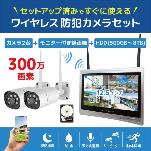ブロードウォッチ 12.5インチLCD一体型ワイヤレス防犯カメラセット(カメラ2台/HDD容量：2TB) SEC-W-ML2CH-2T返品種別A