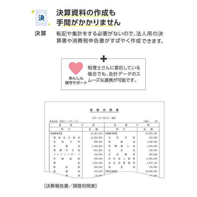 弥生 弥生会計 26 プロフェッショナル 2ユーザー 通常版＜インボイス制度・電子帳簿保存法対応＞ ヤヨイカイケイ26PRO2U-W返品種別B_4