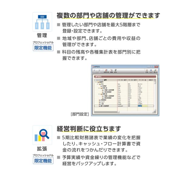 弥生 弥生会計 26 プロフェッショナル 2ユーザー 通常版＜インボイス制度・電子帳簿保存法対応＞ ヤヨイカイケイ26PRO2U-W返品種別B_5