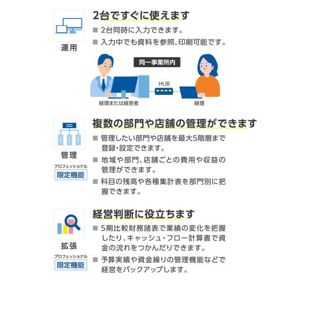 弥生 弥生会計 26 プロフェッショナル 2ユーザー 通常版＜インボイス制度・電子帳簿保存法対応＞ ヤヨイカイケイ26PRO2U-W返品種別B_7