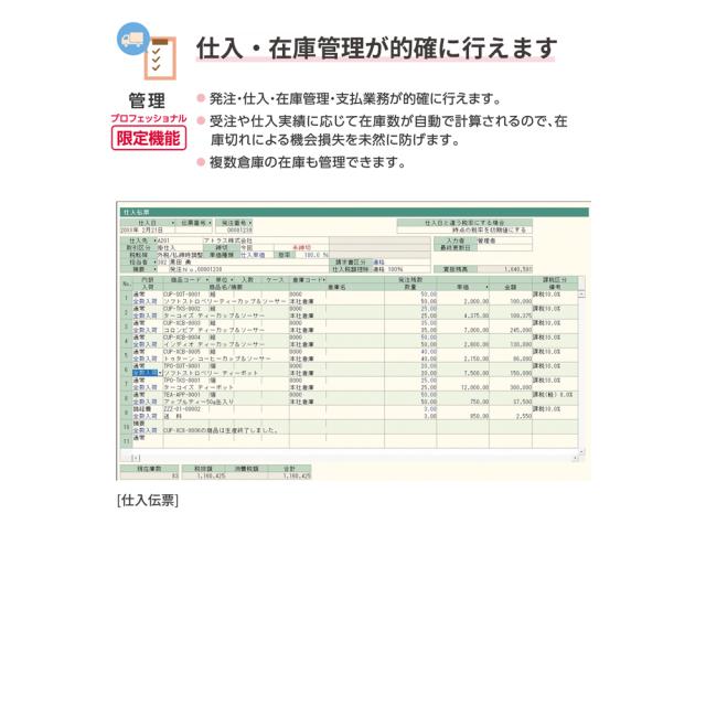 弥生 弥生販売 26 プロフェッショナル 通常版＜インボイス制度対応＞ ※パッケージ（メディアレス）版 ヤヨイハンバイ26PRO-W返品種別B_3