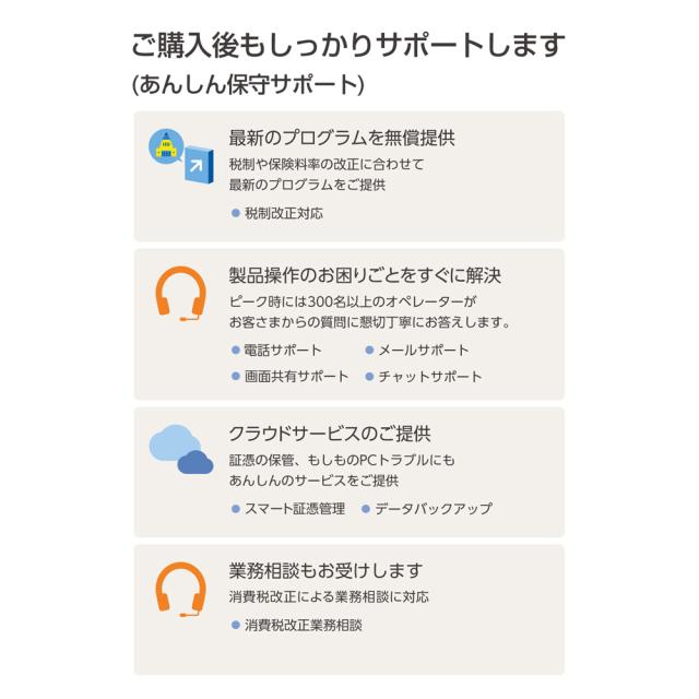 弥生 弥生販売 26 プロフェッショナル 通常版＜インボイス制度対応＞ ※パッケージ（メディアレス）版 ヤヨイハンバイ26PRO-W返品種別B_5