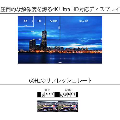 JAPANNEXT（ジャパンネクスト） JN-IPS4302UHDR 43型 液晶ディスプレイ