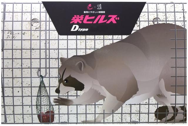 SAKAE HILLS AG-2 捕獲器 ハクビシン・アライグマ・キツネ用 吊りエサタイプDtype No.402[AG2サカエヒルズ] 返品種別B_3
