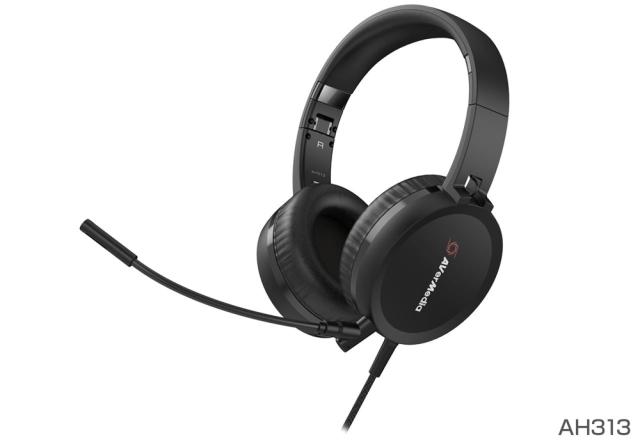 AVerMedia（アバーメディア） BO317 フルHD ウェブカメラ・USBヘッドセット セットモデル Video Conference KIT[BO317] 返品種別A