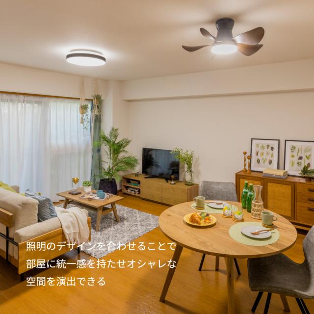 ホタルクス XZF-06433KRCSG 4.5〜6畳用　LEDシーリングファンHotaluX[XZF06433KRCSG] 返品種別A