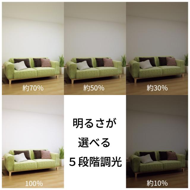 ホタルクス XZF-06433KRCSG 4.5〜6畳用　LEDシーリングファンHotaluX[XZF06433KRCSG] 返品種別A