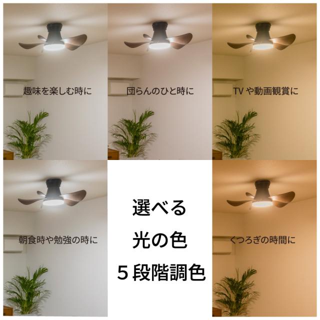 ホタルクス XZF-06433KRCSG 4.5〜6畳用　LEDシーリングファンHotaluX[XZF06433KRCSG] 返品種別A