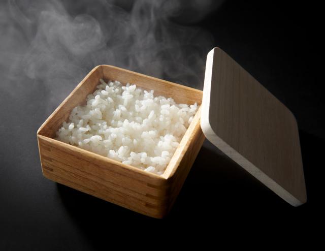 オスマック OSG-1(オスマツク) KIRISAI 桐のレンジでごはん鉢ご飯 保存容器 冷凍 電子レンジ[OSG1オスマツク] 返品種別A_6