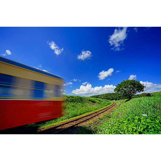 ソニー SEL1635Z Vario-Tessar T* FE 16-35mm F4 ZA OSS※Eマウント用レンズ（フルサイズミラーレス対応）[SEL1635Z] 返品種別A_3