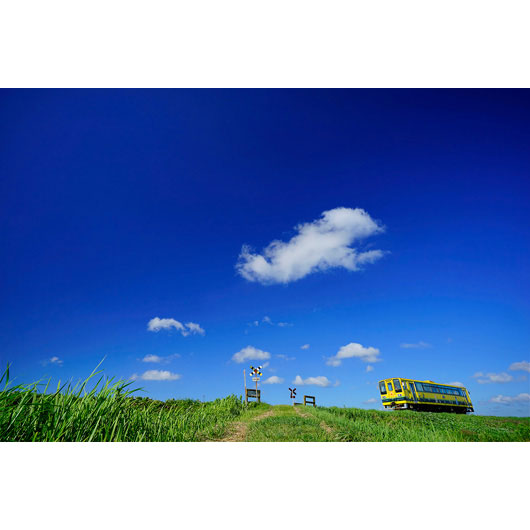 ソニー SEL1635Z Vario-Tessar T* FE 16-35mm F4 ZA OSS※Eマウント用レンズ（フルサイズミラーレス対応）[SEL1635Z] 返品種別A_4