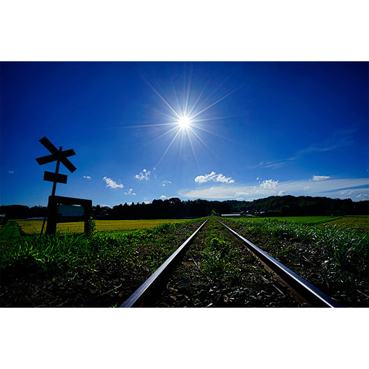 ソニー SEL1635Z Vario-Tessar T* FE 16-35mm F4 ZA OSS※Eマウント用レンズ（フルサイズミラーレス対応）[SEL1635Z] 返品種別A_5