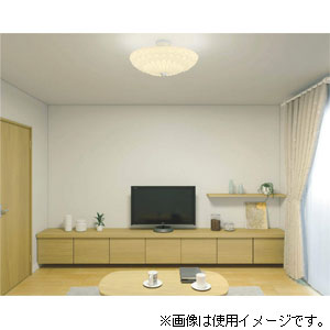 コイズミ AH43908L LEDシーリングライトKOIZUMI GRAFLEUR（グラフルール）10畳〜12畳用[AH43908L] 返品種別A_3
