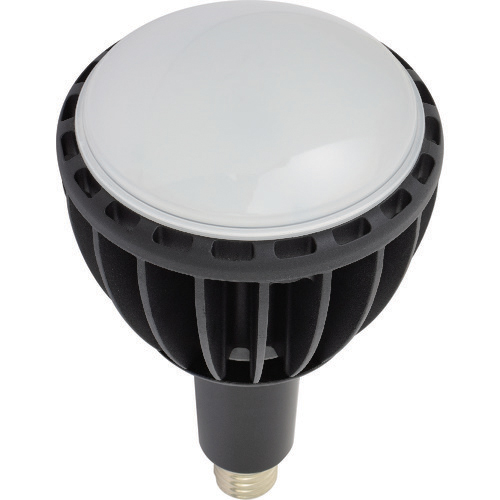日動工業 L100W-E39J-WBK-50K LED交換球[L100WE39JWBK50K] 返品種別B