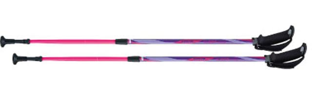 ハタチ HAC-WH1022-68 フリーアルミDフィット2（パープル）HATACHI　ノルディック・ウォーク[HACWH102268] 返品種別A