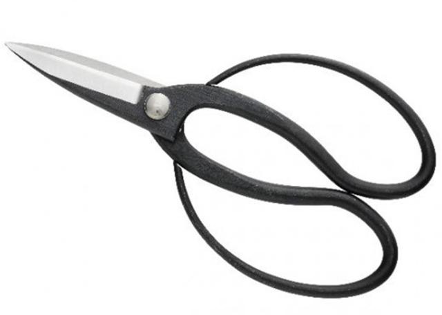 喜久和 #2081 本職用青紙刃長木鋏[2081キクワ] 返品種別B