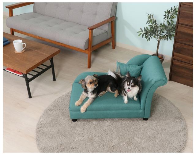 不二貿易 【完成品（一部取付）】ペットカウチソファ（クッション付き