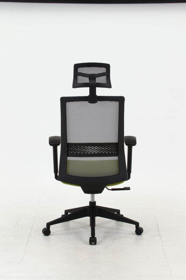 不二貿易 70518 ヘッド付きハイバックチェア マスターIV（グリーン）[70518フジボウエキ] 返品種別A_3