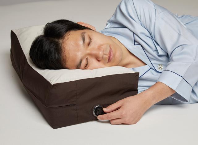 フランスベッド 360145001(フランスベツド) サイレントナイトピローFRANCEBED[360145001フランスベツド] 返品種別A