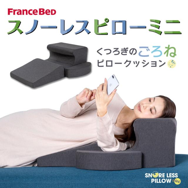 フランスベッド 360264000(フランスベツド) スノーレスピローミニスノーレスピロー[360264000フランスベツド] 返品種別A