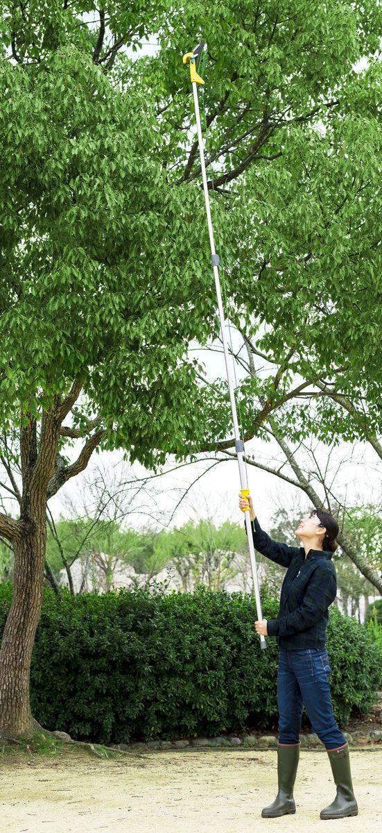 ムサシ 345 ロープ式高枝切鋏 キャッチ君Jr.ムサシ[345ムサシ] 返品種別B_5