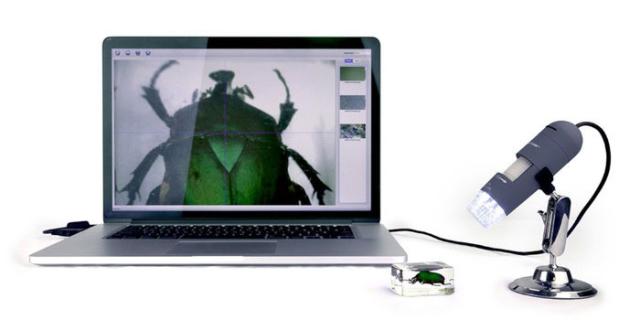 セレストロン デジタルケンビキョウハンディDX デジタル顕微鏡「ハンディ DX」VIXEN CELESTRON[デジタルケンビキウハンデDX] 返品種別A