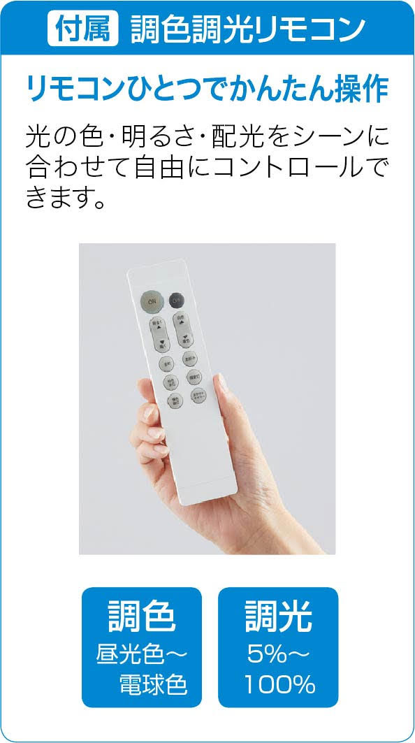ダイコー DXL-81430 10畳〜12畳用　LEDシーリングライト【カチット式】DAIKO[DXL81430] 返品種別A_2