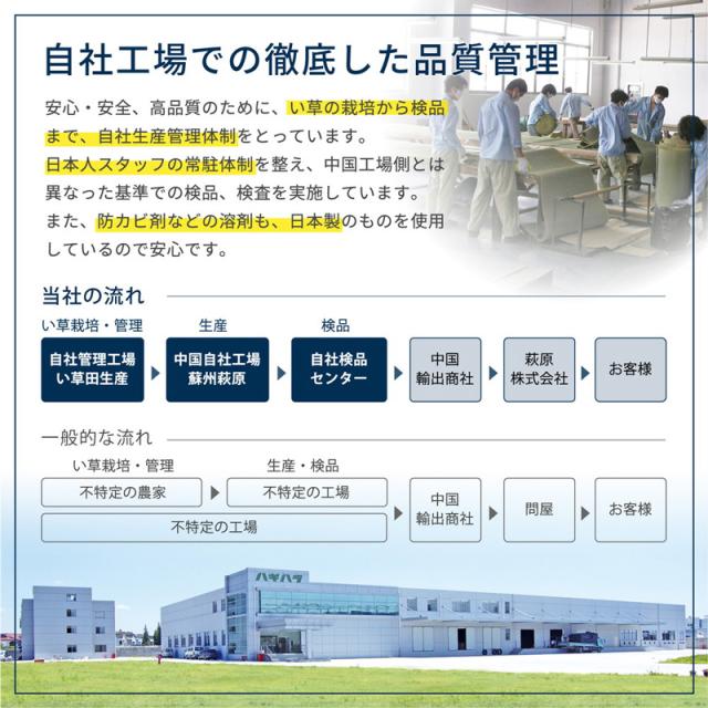 HAGIHARA(萩原) ミスズE8F フリーカット裏付き い草カーペット みすず 江戸間8帖(352×352cm)[ミスズE8Fハギハラ] 返品種別A_11
