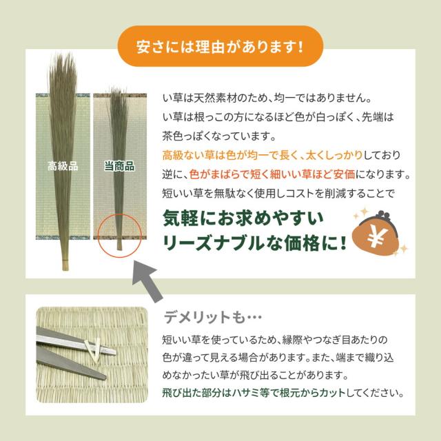 HAGIHARA(萩原) ヤナガワE10 い草カーペット 柳川 江戸間10畳 個装（440×352cm）[ヤナガワE10] 返品種別A_4