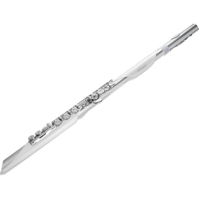 ローランド AE-BRISA エアロフォン・ブリザRoland Aerophone Brisa[AEBRISA] 返品種別B