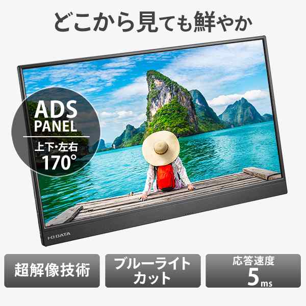 I/Oデータ LCD-CF161XDB-MT 15.6型 フルHD対応 モバイルディスプレイ10