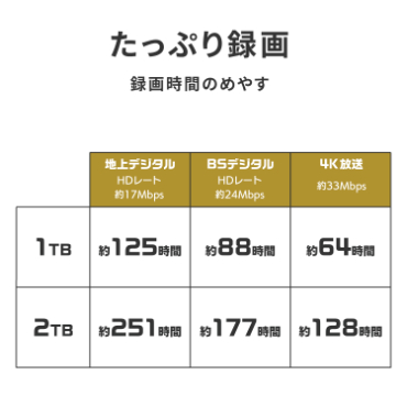 アイ・オー・データ機器｜I-O DATA AVSSD-RS2 24時間連続録画 4K対応 録画用スティック SSD 2TB[AVSSDRS2] 返品種別B_11