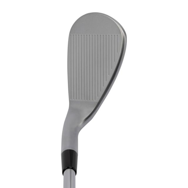 キャスコ DW-125G-CB-L-46 ドルフィンウェッジ DW-125G for LADIES ロフト角：46°(セミグースネック)【Dolphin DP-231 L カーボンシャフト・フレックス：L】kasco DOLPHIN WEDGE[DW125GCBL46] 返品種別A_2