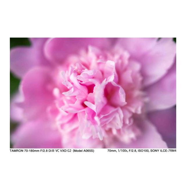 タムロン TA70-180DI3G2A065S 70-180mm F/2.8 Di III VC VXD G2（Model：A065）※ソニーEマウント用レンズ（フルサイズミラーレス対応）[TA70180DI3G2A065S] 返品種別A_4