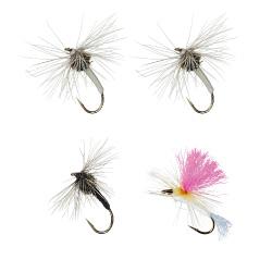 ダイワ テンカラキット36 17 テンカラキット 36 3.6mDAIWA[06319442ダイワ] 返品種別A