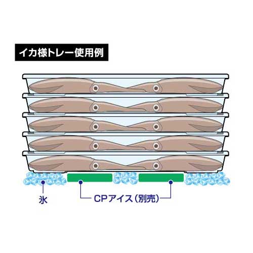 ダイワ イカサマトレーAL(M)3マイセット イカ様トレーAL(M) 3枚セット